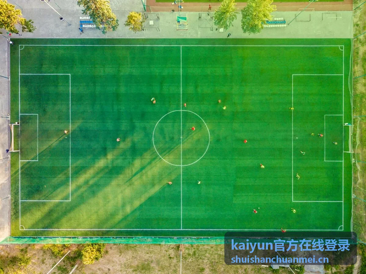 kaiyun官方在线登录会员等级服务等级体系概览