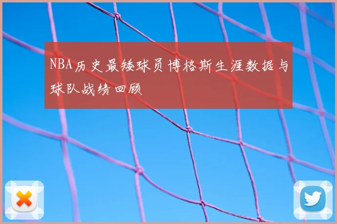 NBA历史最矮球员博格斯生涯数据与球队战绩回顾