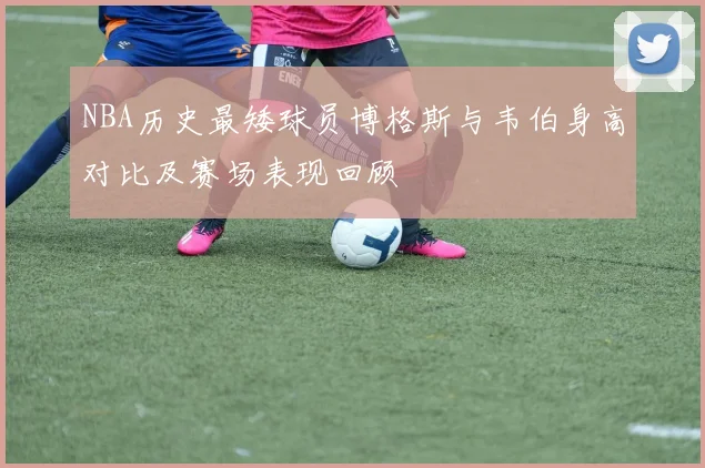 NBA历史最矮球员博格斯与韦伯身高对比及赛场表现回顾