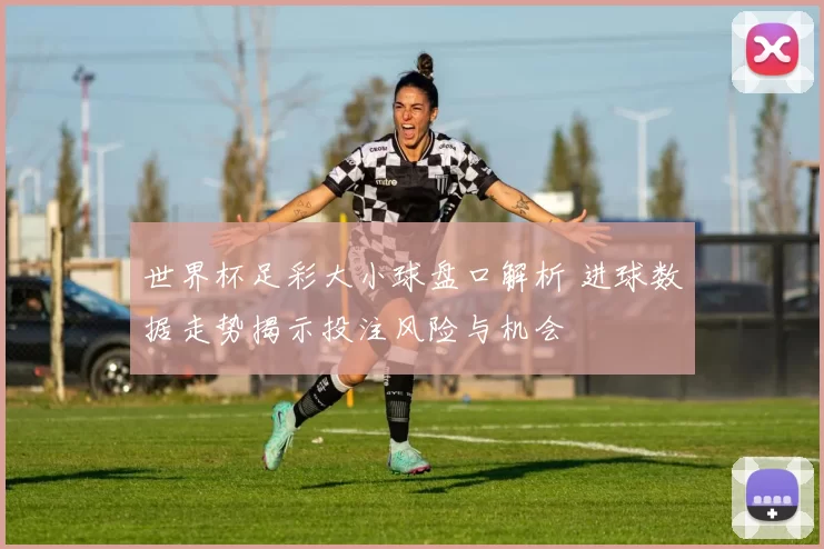 世界杯足彩大小球盘口解析 进球数据走势揭示投注风险与机会